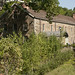 Amy Mills Photo 14