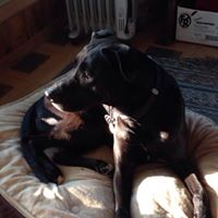 Jill Webb Photo 15