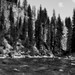 Steven Pruitt Photo 36