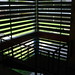 Gregory Burks Photo 12