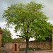 Al Venable Photo 8