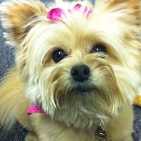 Ginger Rodriguez Photo 14