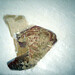 Mary Plaster Photo 18