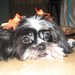 Kristen Webb Photo 21