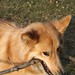 Ginger Patterson Photo 5