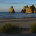 Heidi Nelson Photo 17