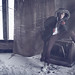 Christopher Huffman Photo 41