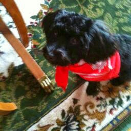 Nancy Swartz Photo 28