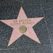 Andrew Webber Photo 15