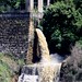 Chang Jiang Photo 27