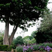 Beverly Robinson Photo 15