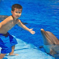 Alan Phung Photo 18