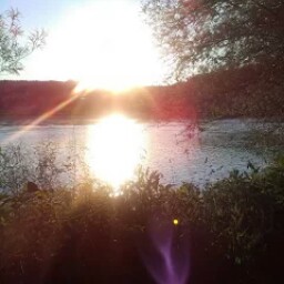 Theresa Bell Photo 19
