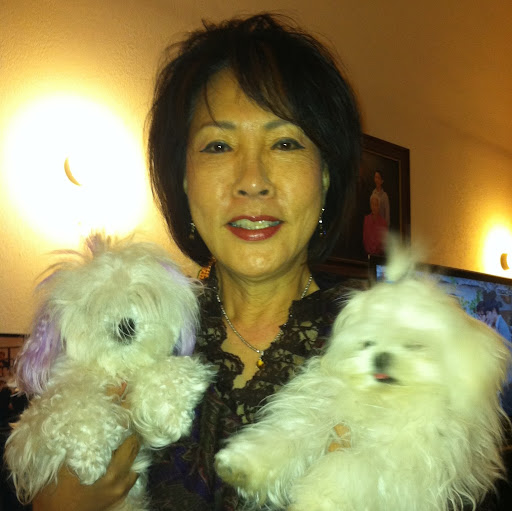 Susan Shin Photo 15