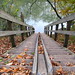 Marilynn Downs Photo 1