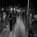 Dorothy Stringer Photo 2