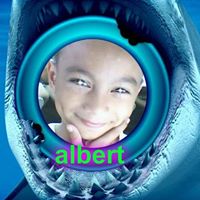 Albert Lang Photo 22