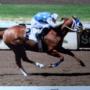 Andrew Dow Photo 12