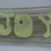 Joy Weber Photo 16