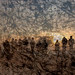 Joy Barba Photo 18
