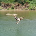 Chad Vang Photo 10