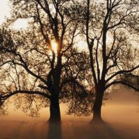 Elizabeth Pedersen Photo 35