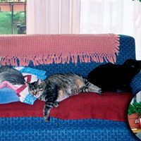 Mary Webber Photo 34