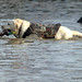 Jerome Heinz Photo 5