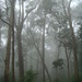 Misty Wilson Photo 13