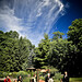Stephanie Morrell Photo 28