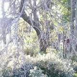 Stephanie Raymond Photo 15
