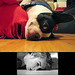 Janet Boston Photo 16