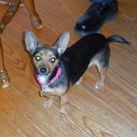 Gail Childs Photo 6