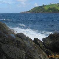 Jennifer Shallow Photo 19