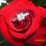 Amanda Souder Photo 5