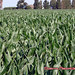 Tracy Fields Photo 16