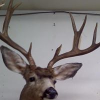 Alan Richards Photo 46