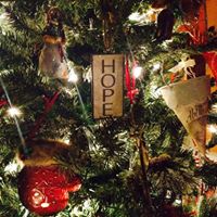 Lisa Hooper Photo 43