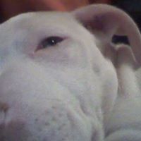 Robyn Rodgers Photo 9