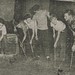 Theodore Elmore Photo 4