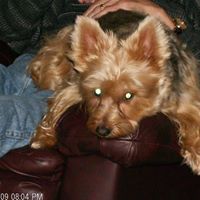 Ruby Gardner Photo 7