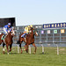 Russell Meadows Photo 30