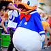 Donald Stephens Photo 32