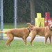 Kelli Riley Photo 41