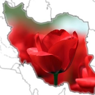 Mohammad Mahmoudi Photo 19