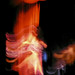 Christopher Roux Photo 11