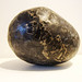 Stacy Stone Photo 15