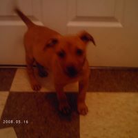Eric Reese Photo 19
