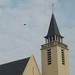 Joseph Pierre Photo 22