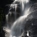 Shannon Long Photo 24